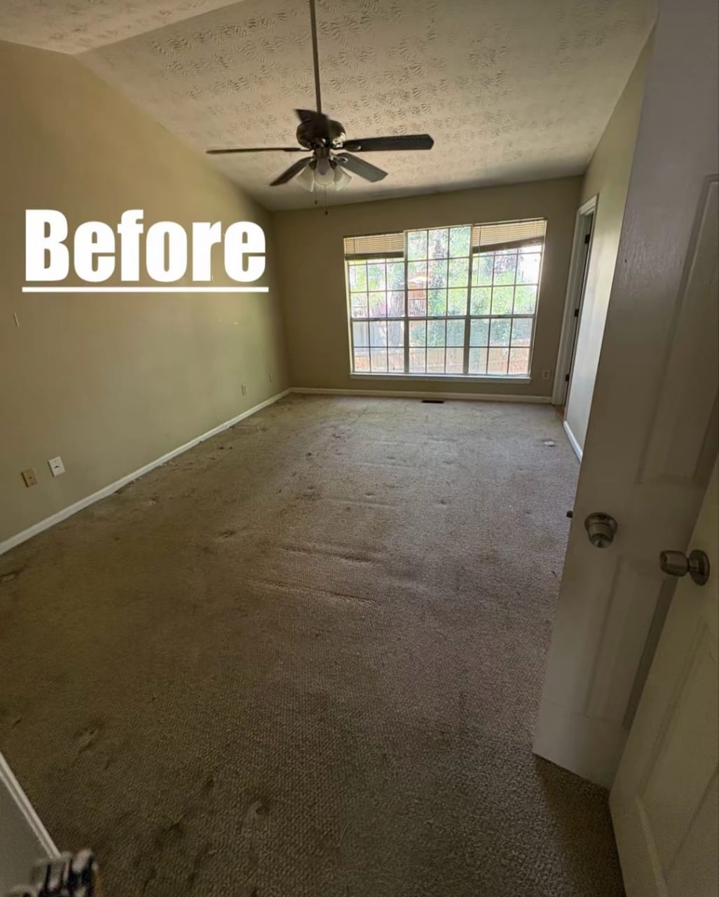 Professional cleaning presentation